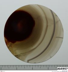 Foto von Quarz (Chalcedon, Achat) (NHMW-MIN-Ab5957)